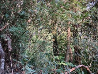 Imagem do imóvel TE66770