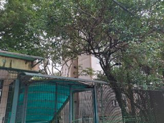 Imagem do imóvel AP27937