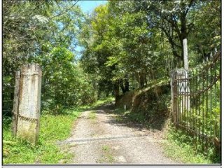 Imagem do imóvel TE09954