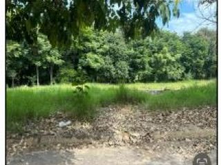 Imagem do imóvel TE04957