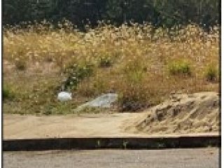 Imagem do imóvel TE74685