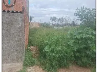 Imagem do imóvel TE31277