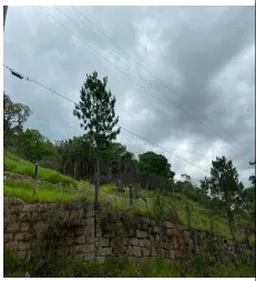 Imagem do imóvel TE40592