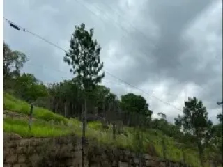 Imagem do imóvel TE40592